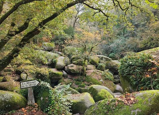La forêt de Huelgoat